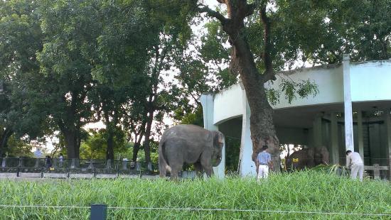 Hanoi Zoological Gardens
